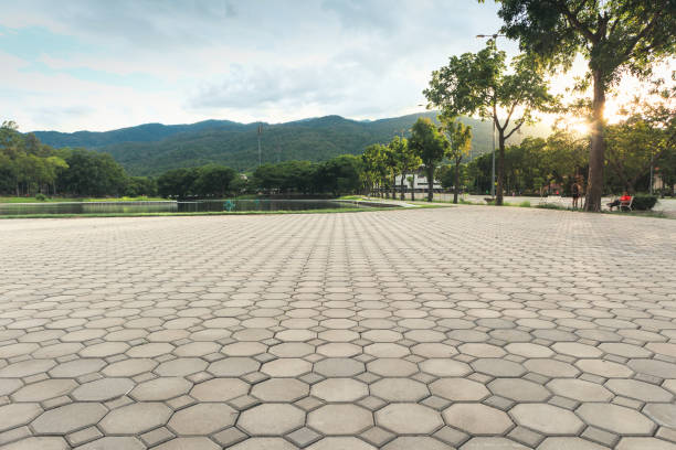 Best Professional Driveway Pavers  in Old Bethpage, NY